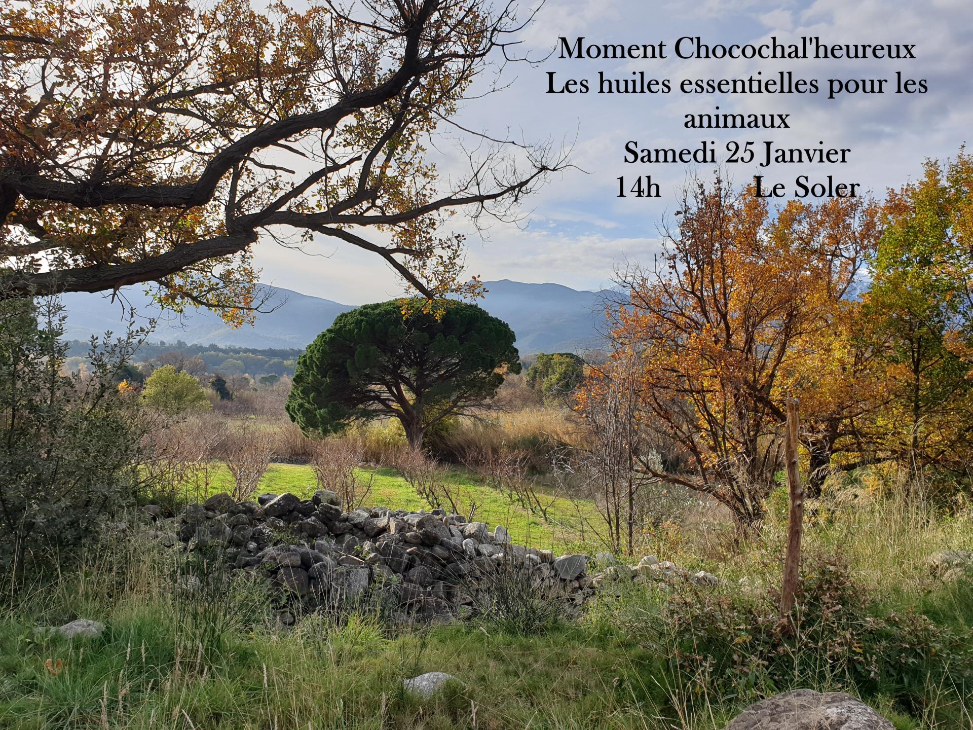 Moment choco huiles essentielles