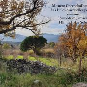 Moment choco huiles essentielles