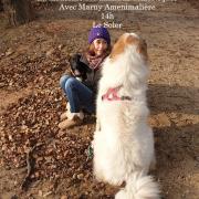 Moment choco medecine des animaux domestique