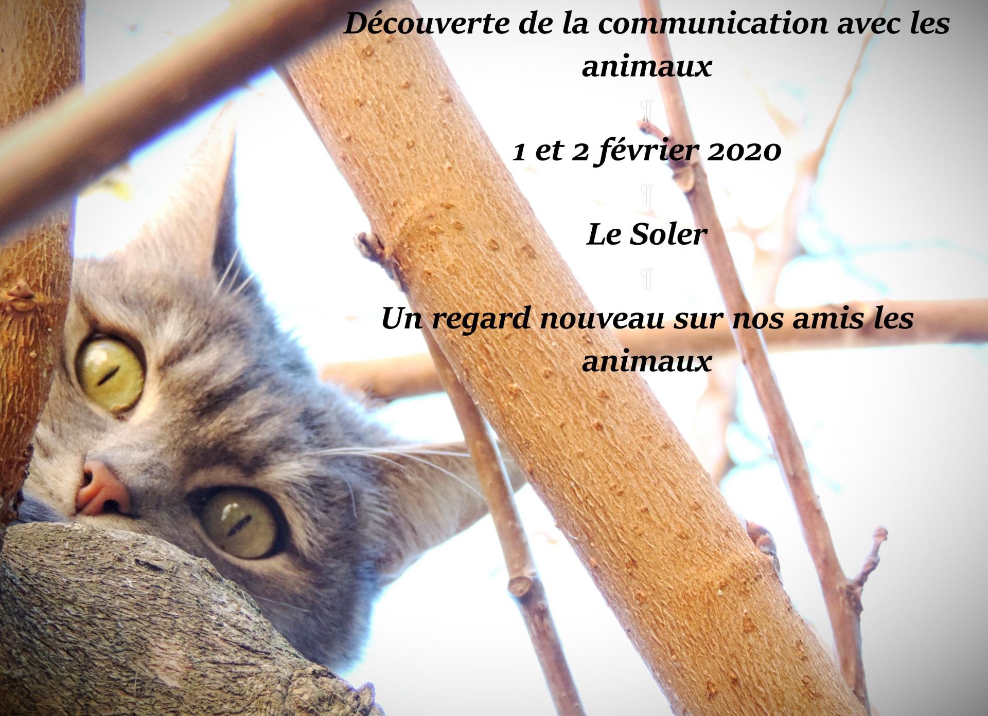Stage module 1 et 2 fevrier 2020 3
