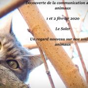Stage module 1 et 2 fevrier 2020 3