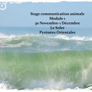 Stage module 1 novembre decembre