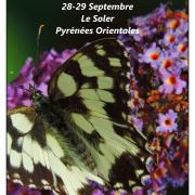 Stage module 1 septembre