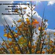 Stage module 2 octobre