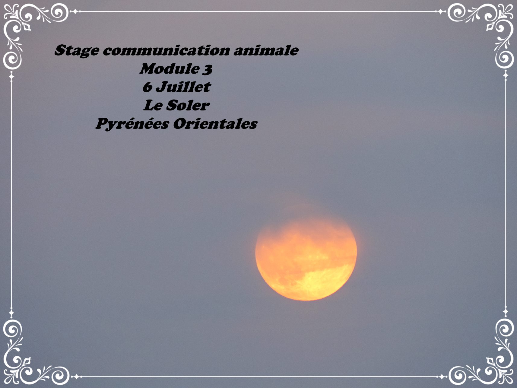 Stage module 3 juillet