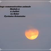 Stage module 3 juillet