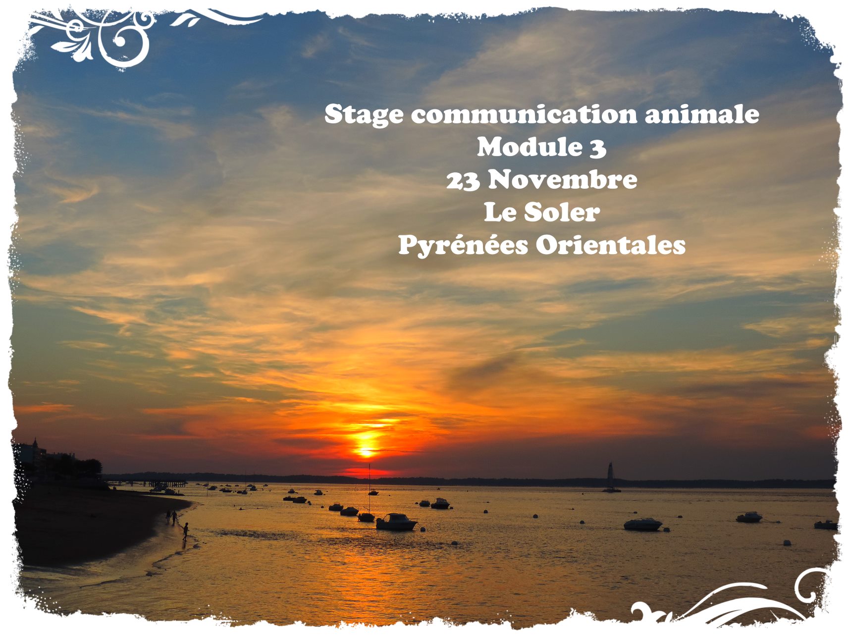 Stage module 3 novembre