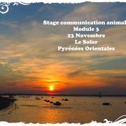 Stage module 3 novembre